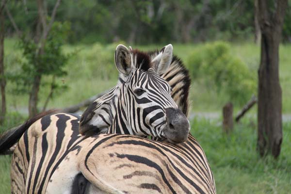 CC 2012 Impressionen 011