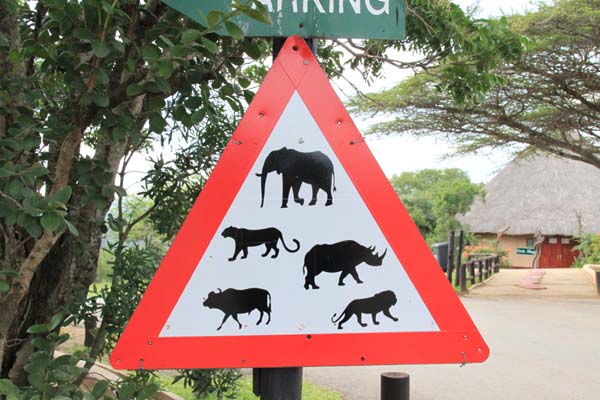 CC 2012 Impressionen 021