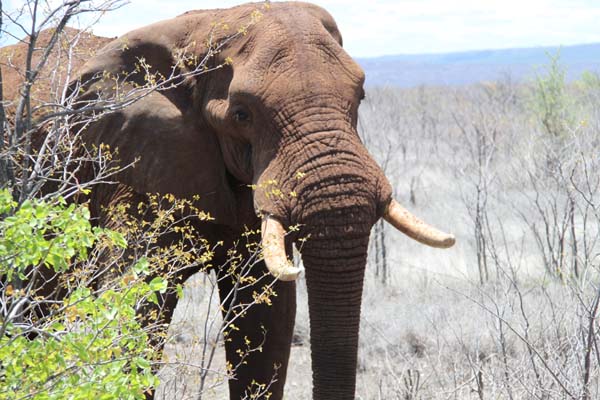 CC 2012 Impressionen 026