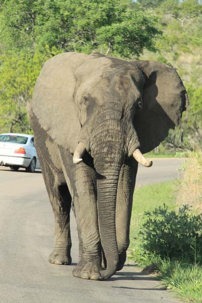 CC 2012 Impressionen 027