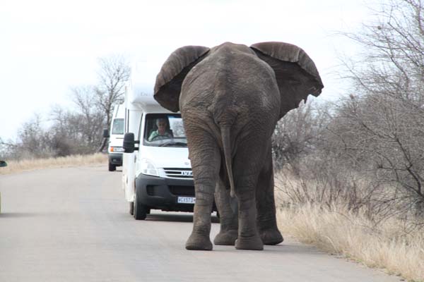 CC 2012 Impressionen 028