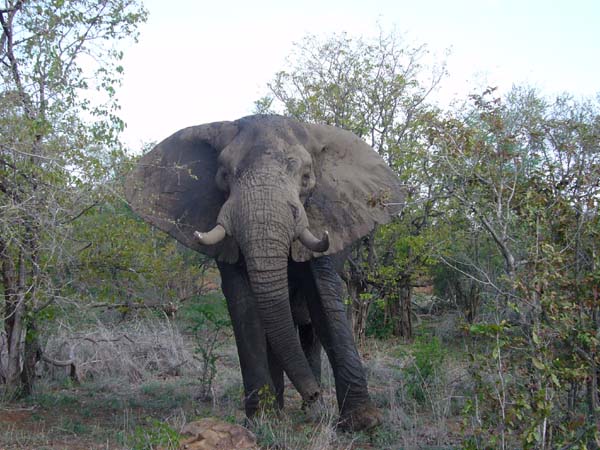 CC 2012 Impressionen 029