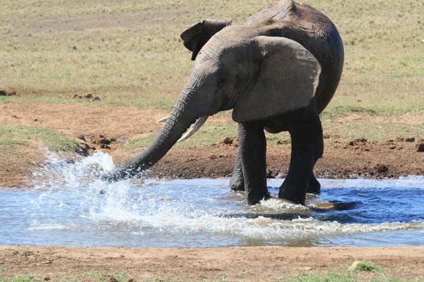 CC 2012 Impressionen 030