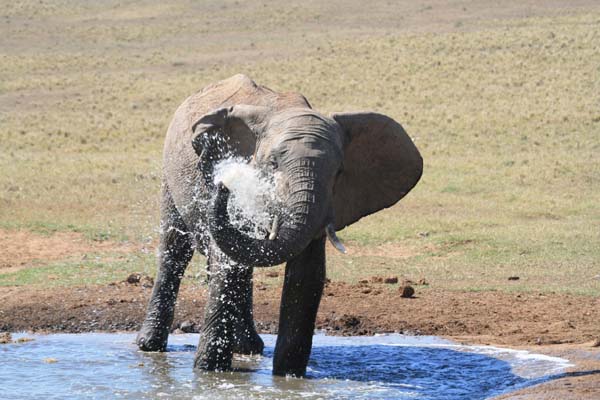 CC 2012 Impressionen 031