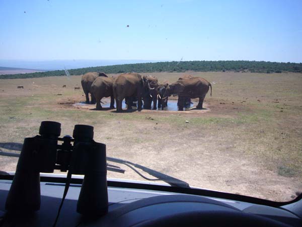 CC 2012 Impressionen 032