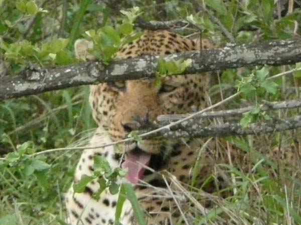 CC 2012 Impressionen 035