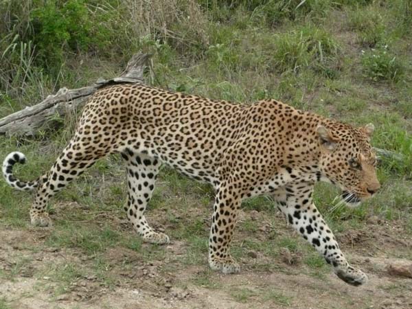 CC 2012 Impressionen 036