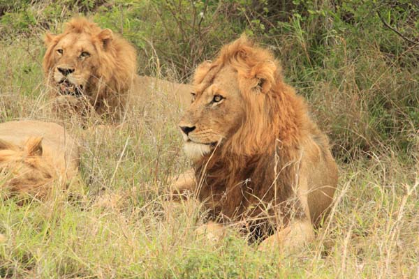 CC 2012 Impressionen 039