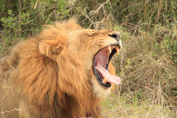 CC 2012 Impressionen 041