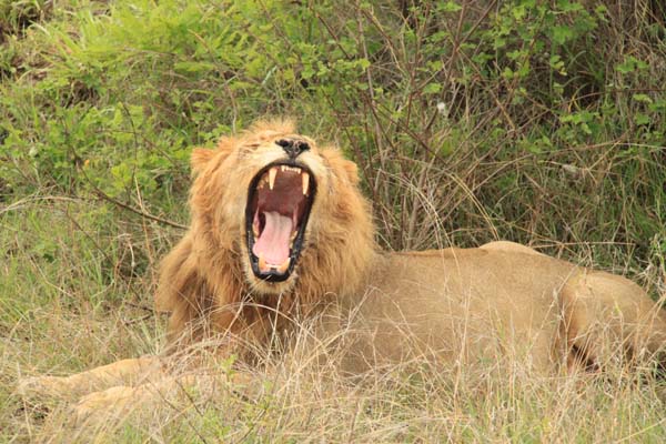 CC 2012 Impressionen 043