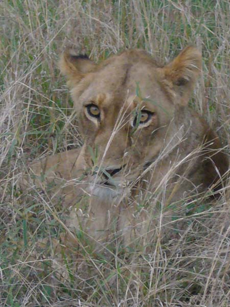 CC 2012 Impressionen 044