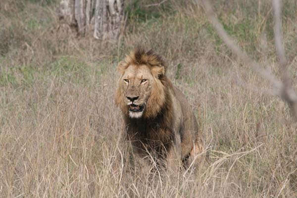 CC 2012 Impressionen 045