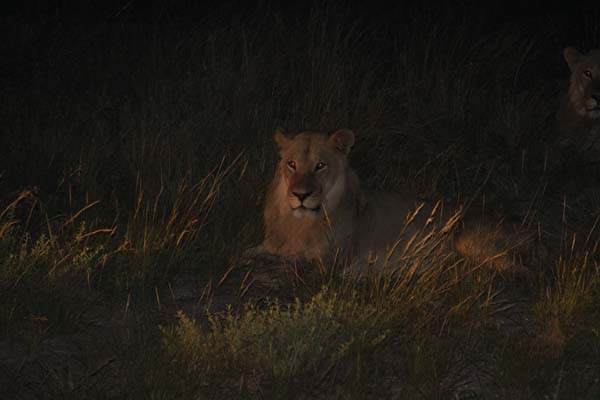 CC 2012 Impressionen 046