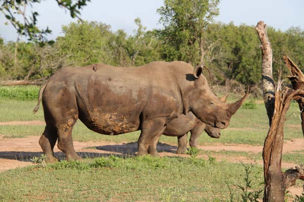 CC 2012 Impressionen 047