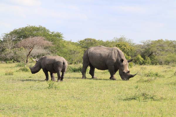 CC 2012 Impressionen 048