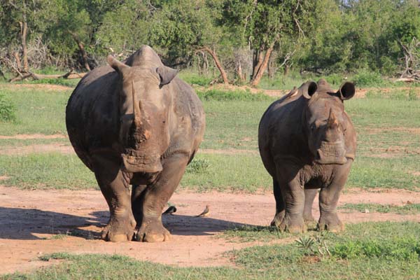 CC 2012 Impressionen 049