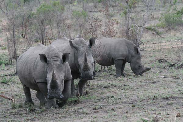 CC 2012 Impressionen 051