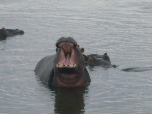 CC 2012 Impressionen 052