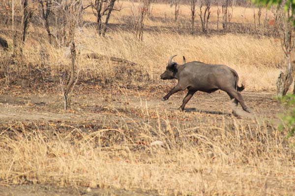 CC 2012 Impressionen 053