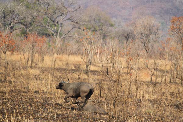 CC 2012 Impressionen 054