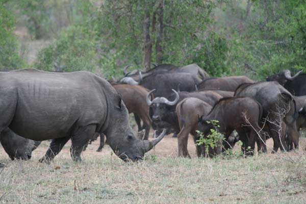 CC 2012 Impressionen 055