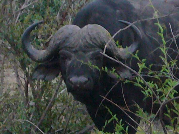 CC 2012 Impressionen 056