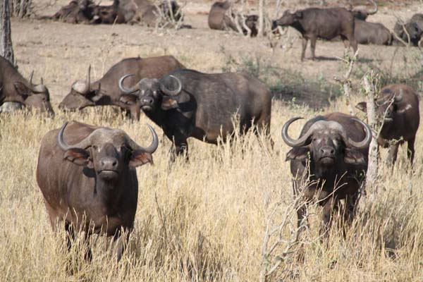 CC 2012 Impressionen 057