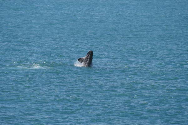 CC 2012 Impressionen 059