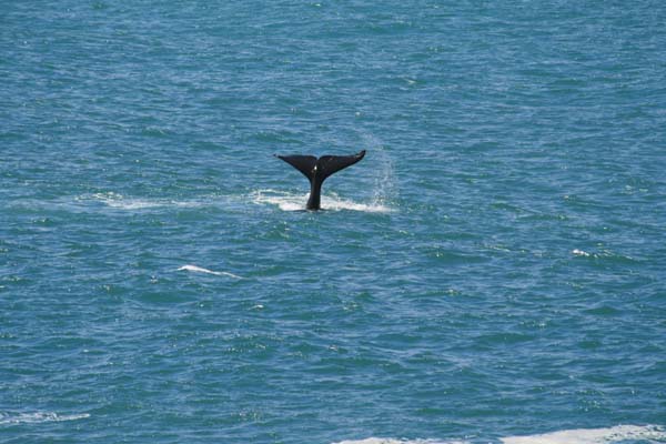 CC 2012 Impressionen 061