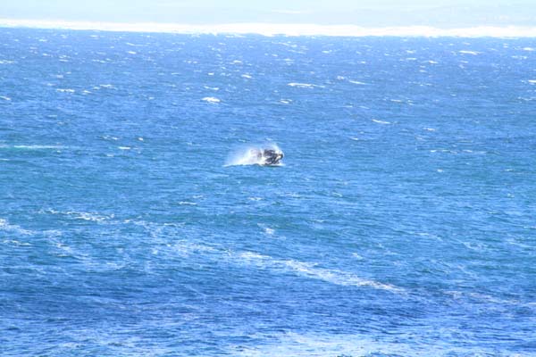 CC 2012 Impressionen 062