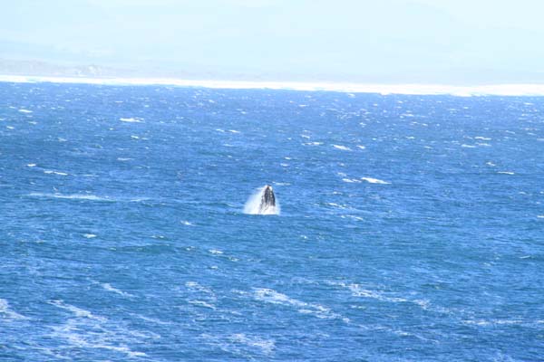 CC 2012 Impressionen 064