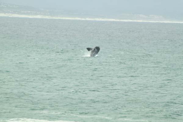 CC 2012 Impressionen 065