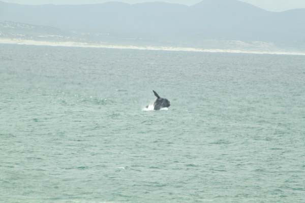 CC 2012 Impressionen 066