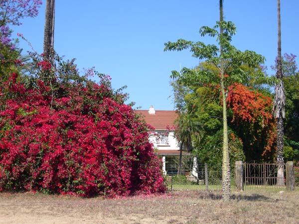 CC 2012 Impressionen 068