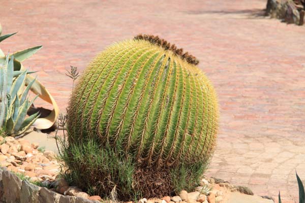 CC 2012 Impressionen 069