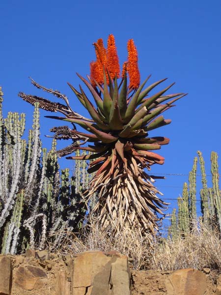 CC 2012 Impressionen 070