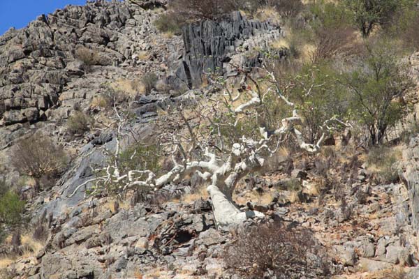 CC 2012 Impressionen 071