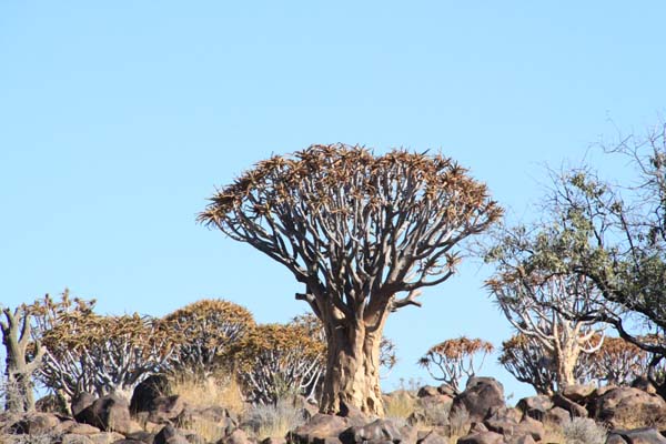 CC 2012 Impressionen 072