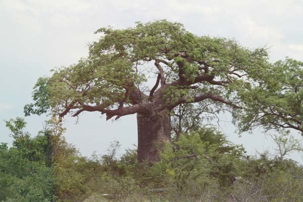 CC 2012 Impressionen 077