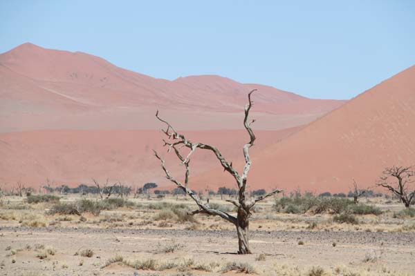 CC 2012 Impressionen 080