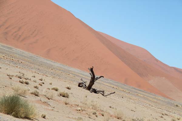 CC 2012 Impressionen 081