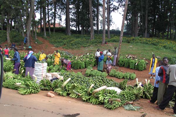 CC 2012 Impressionen 105
